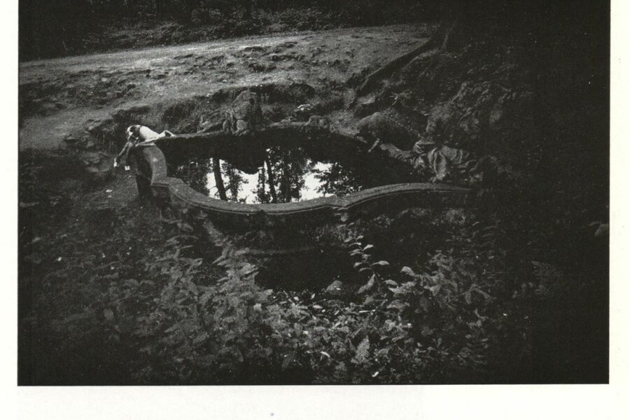 Bořek Sousedík, Bez názvu, Kuks 1981